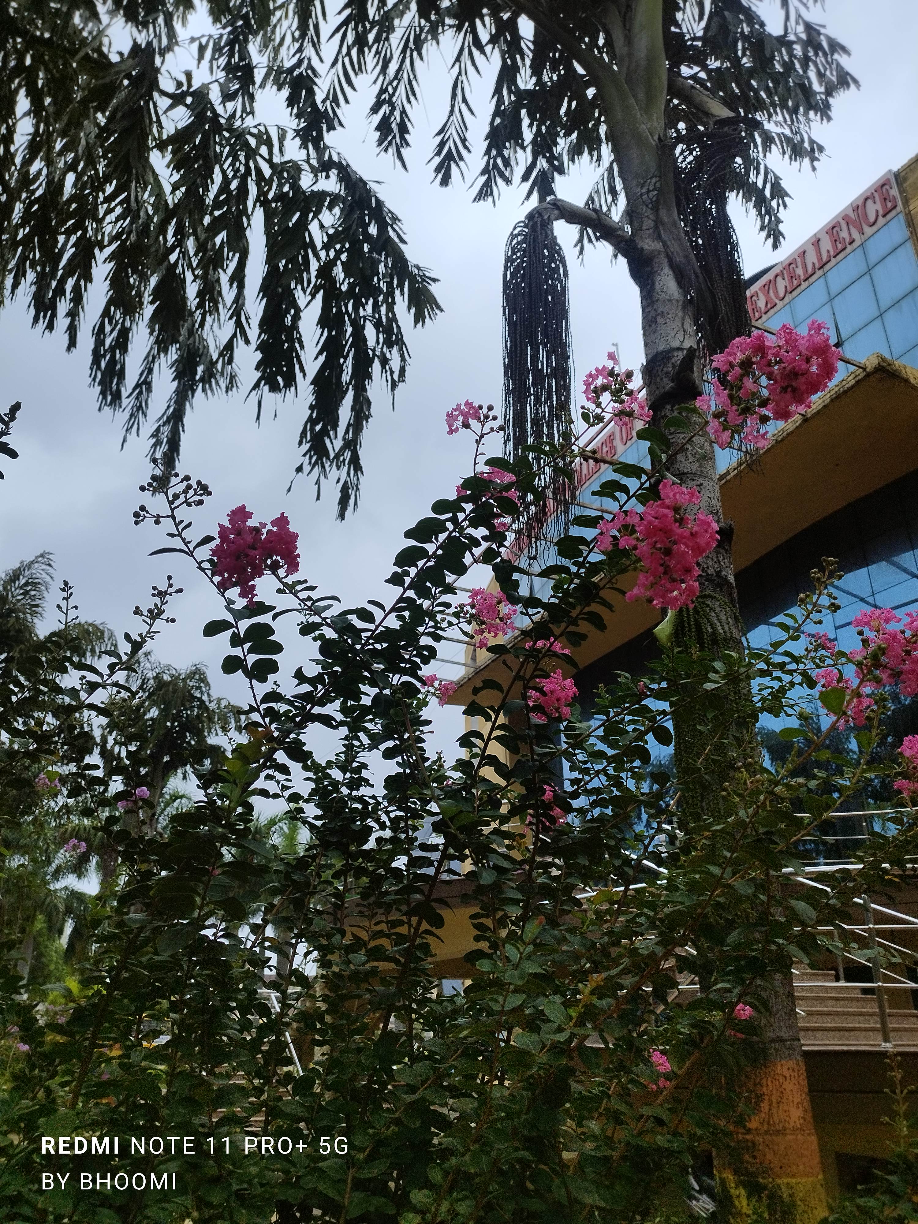 BHOOMI VERMA