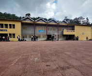 Saniya Padalia