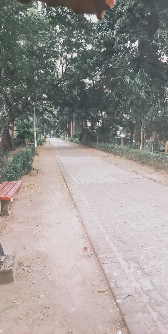 Roushan Kumar Jha