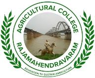 adapa navya