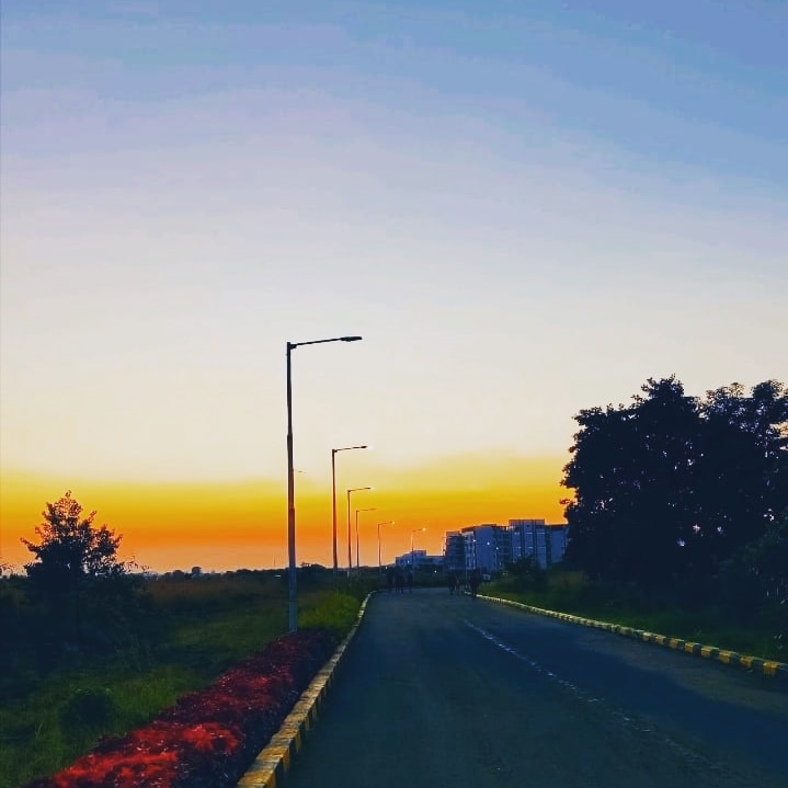 Kamal