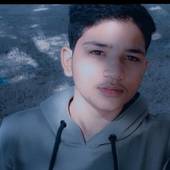 Ansh Uday Singh
