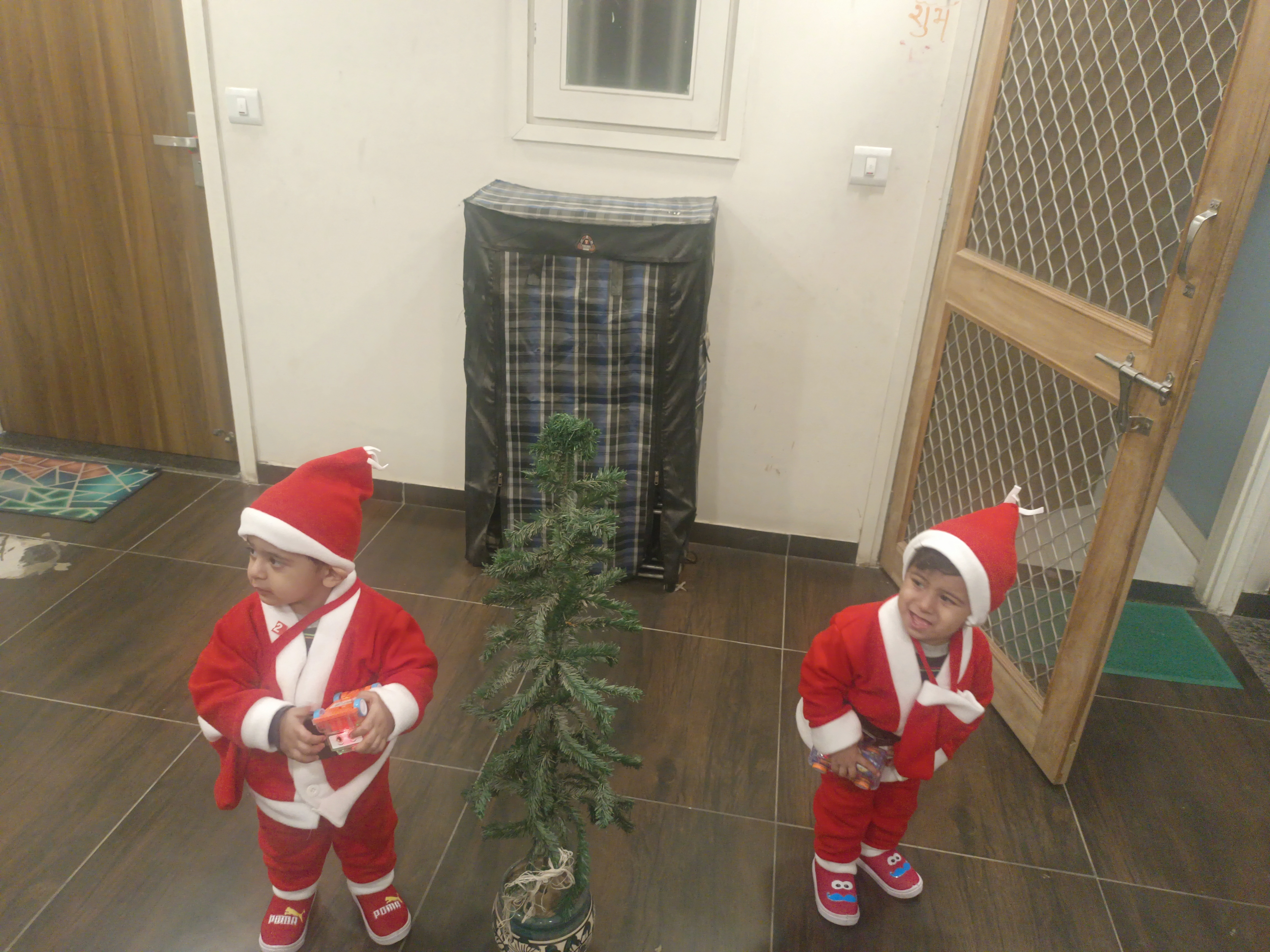 Maansi