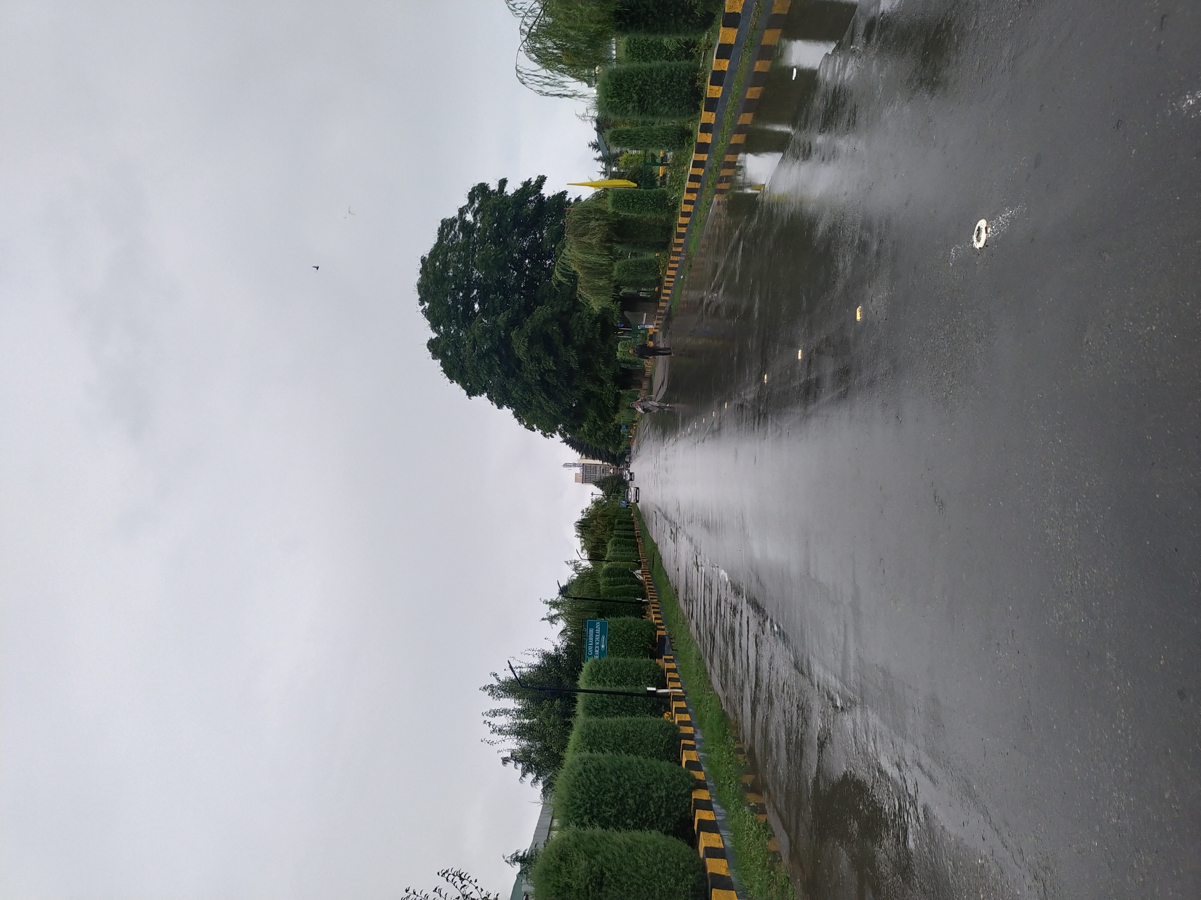 uzma