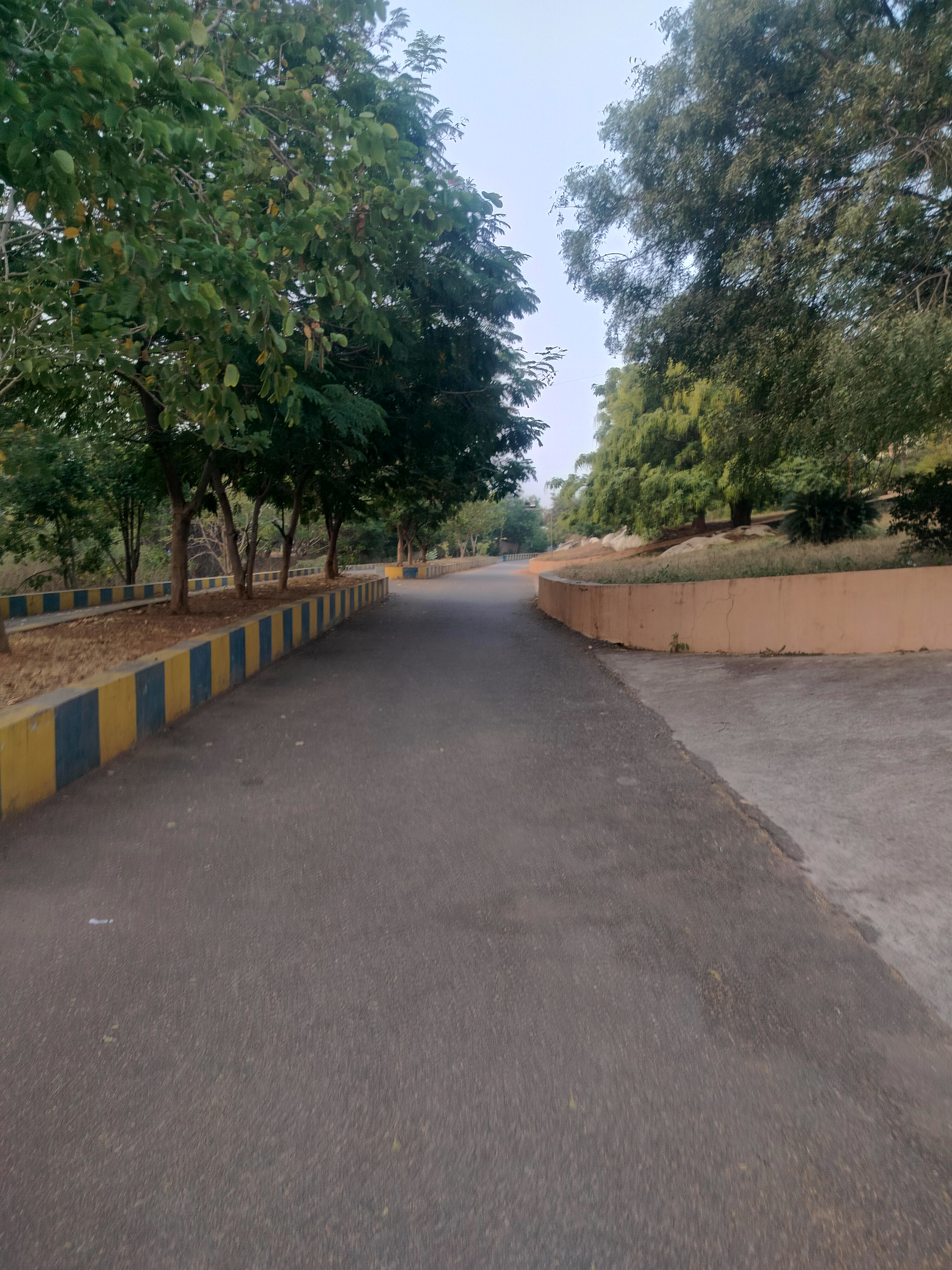 Vaishnavi