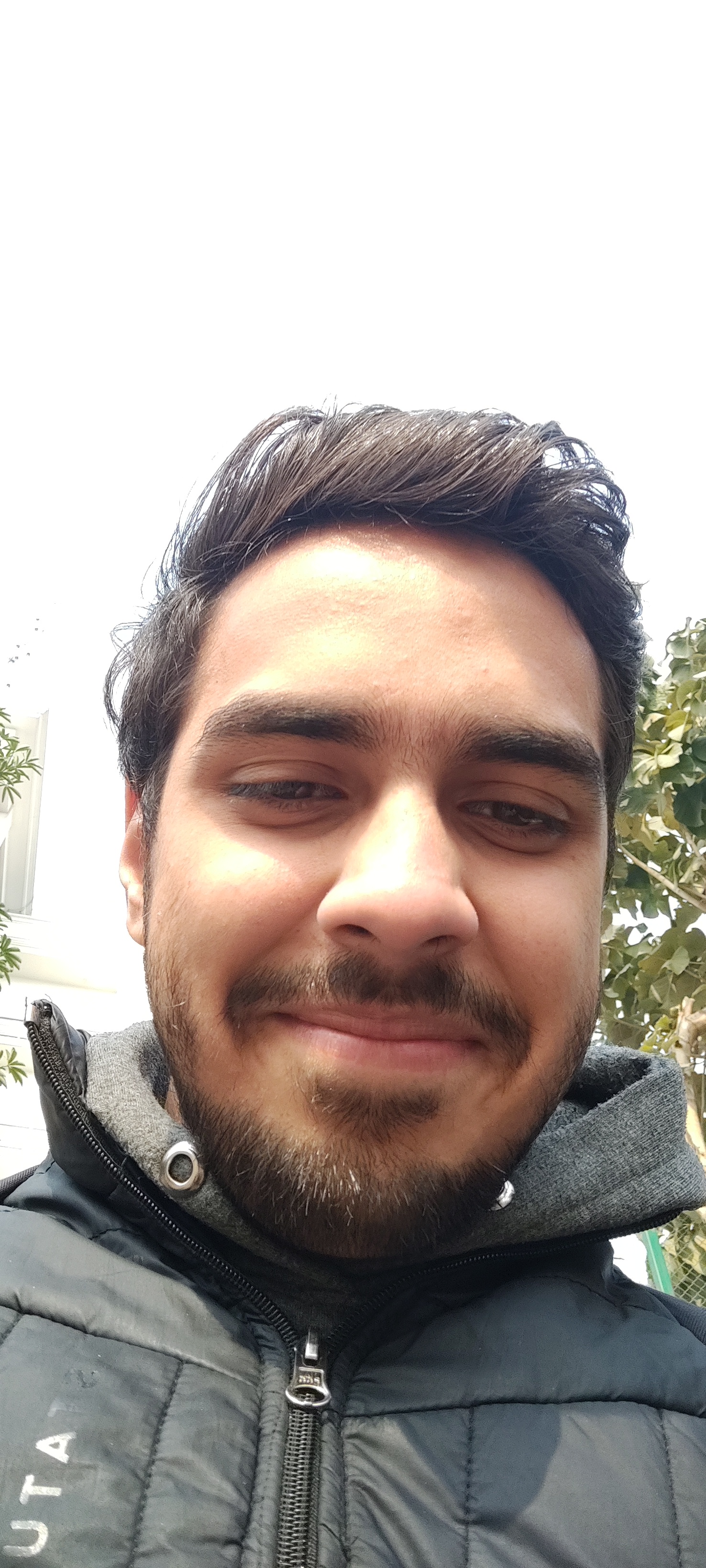 Ansh
