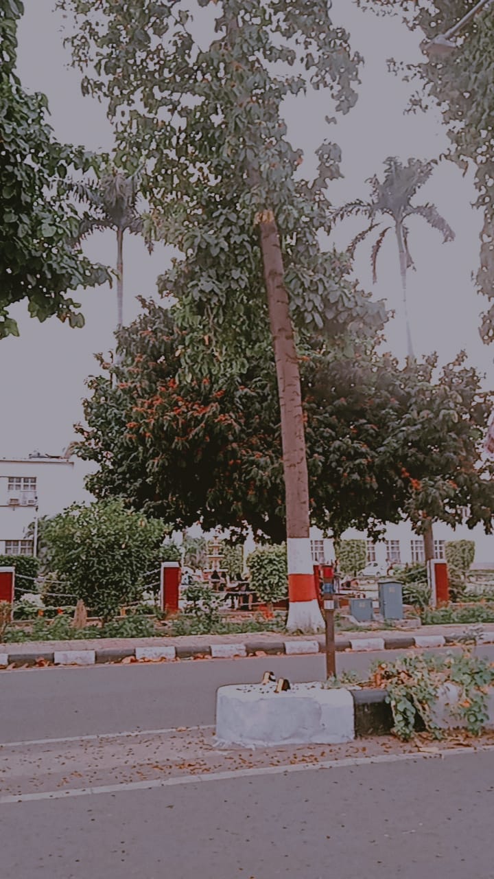Syeda Adeeba