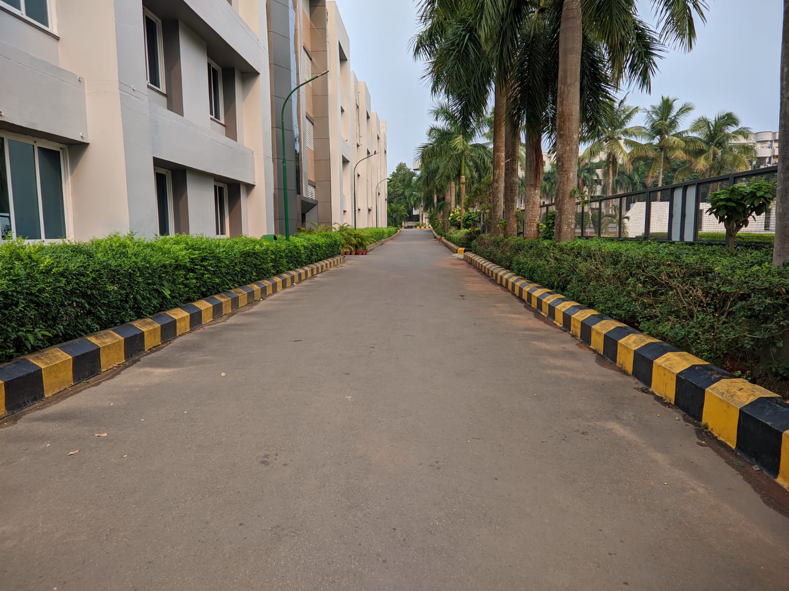 Smruti Sanjeeta Panigrahi