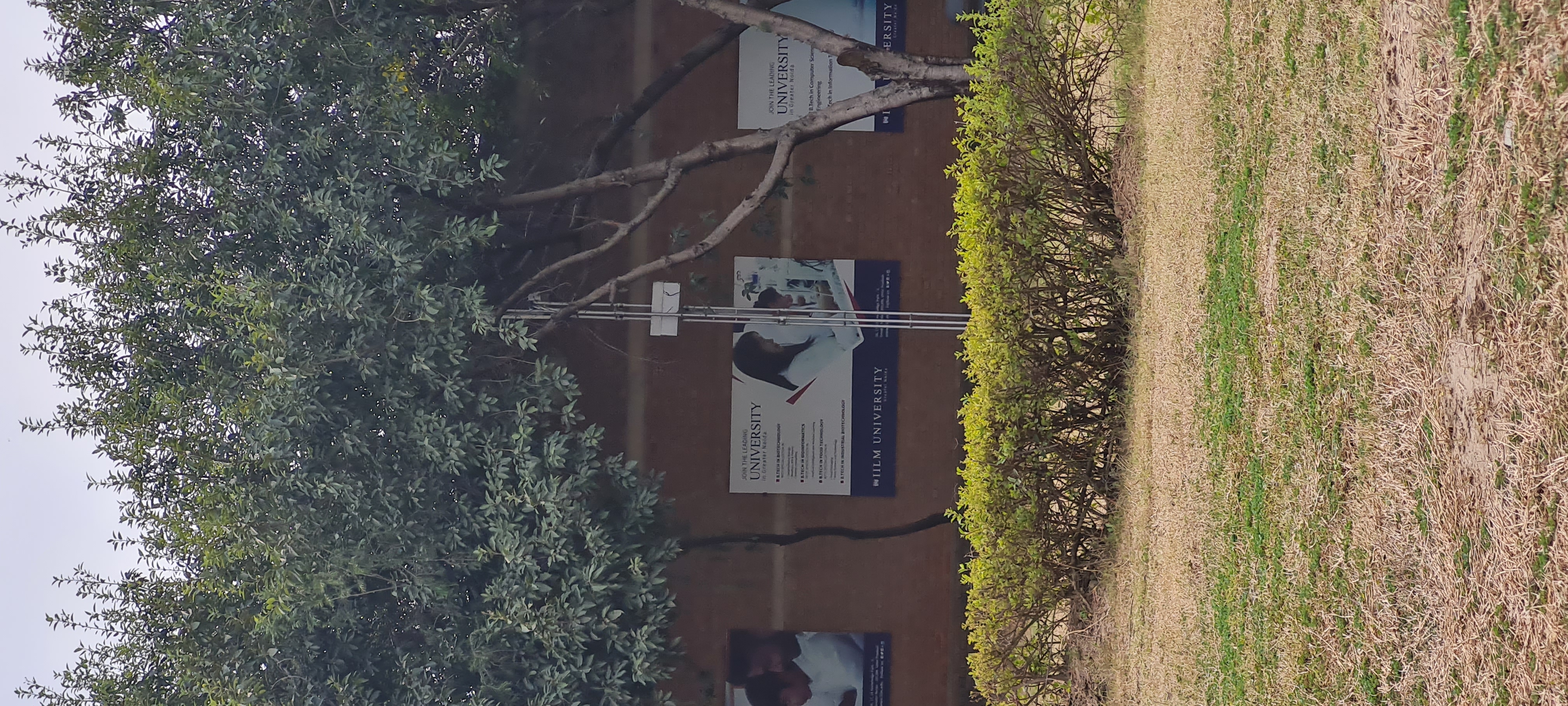 ANKIT GOSWAMI