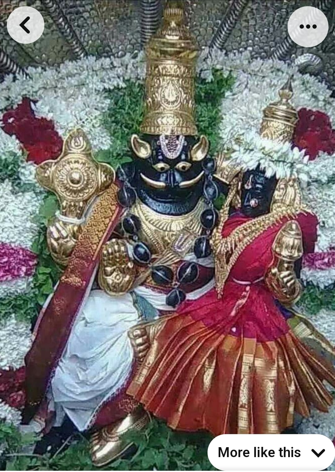 Bhavana