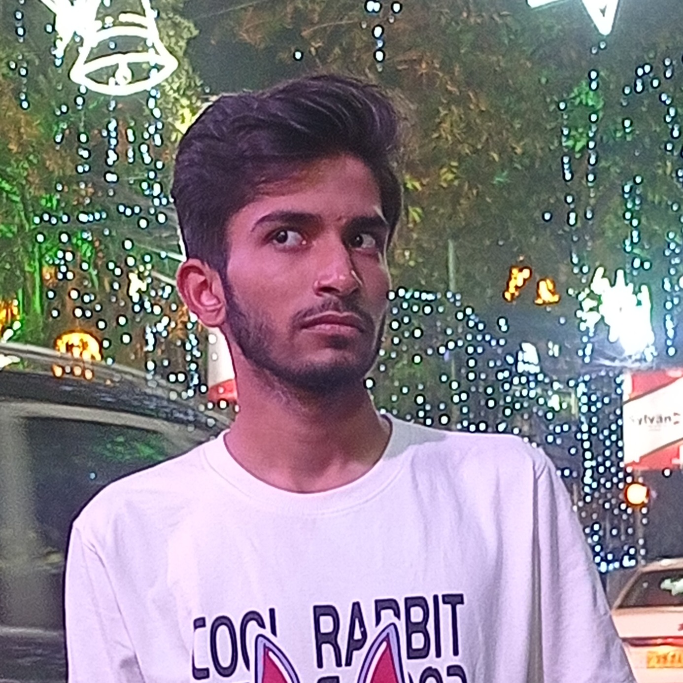 Prithvi Raj Chauhan