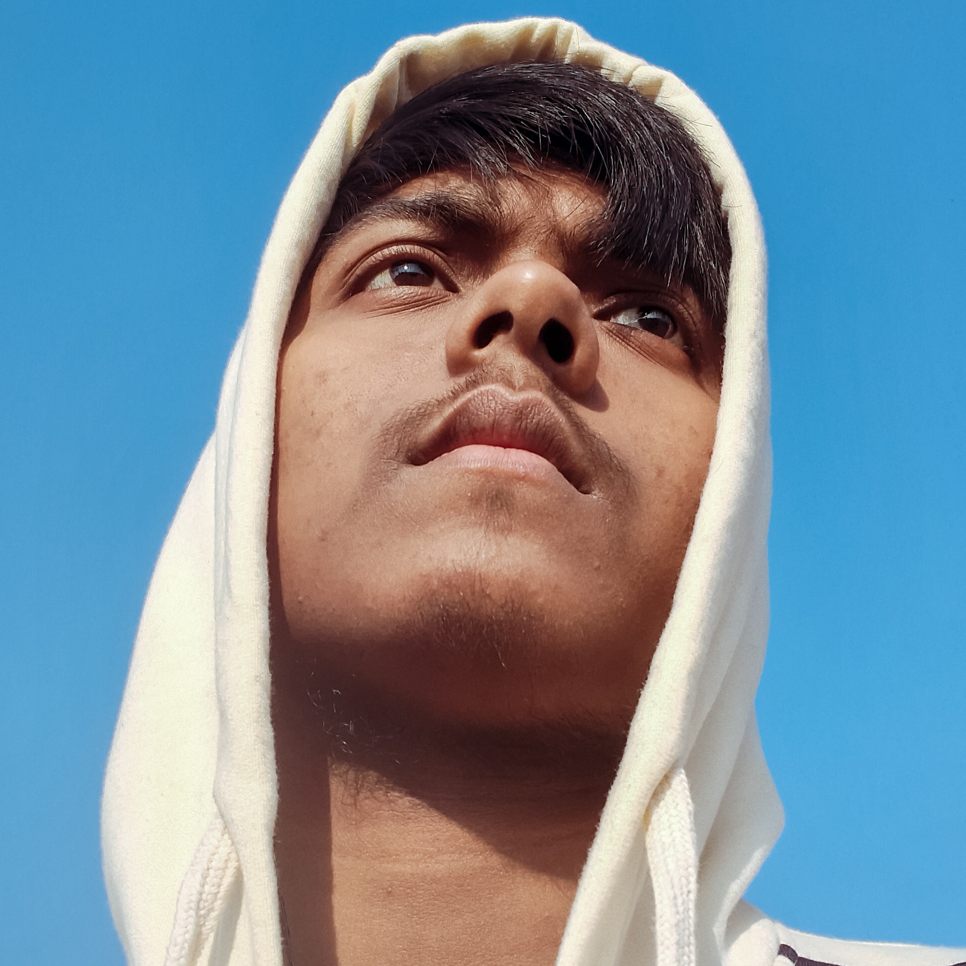 Indranil Biswas