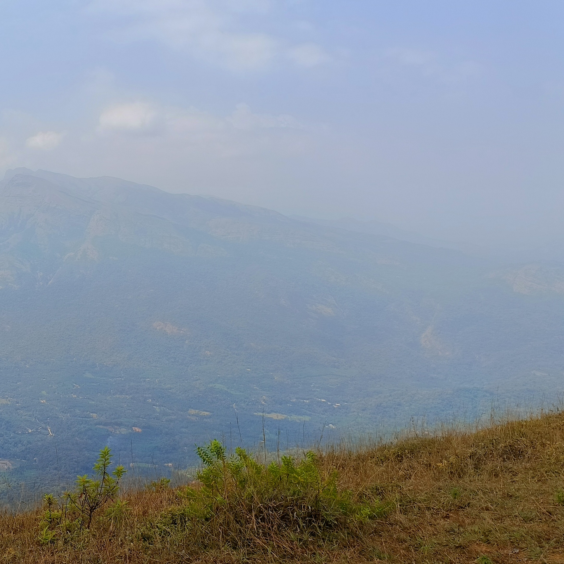 Muskan