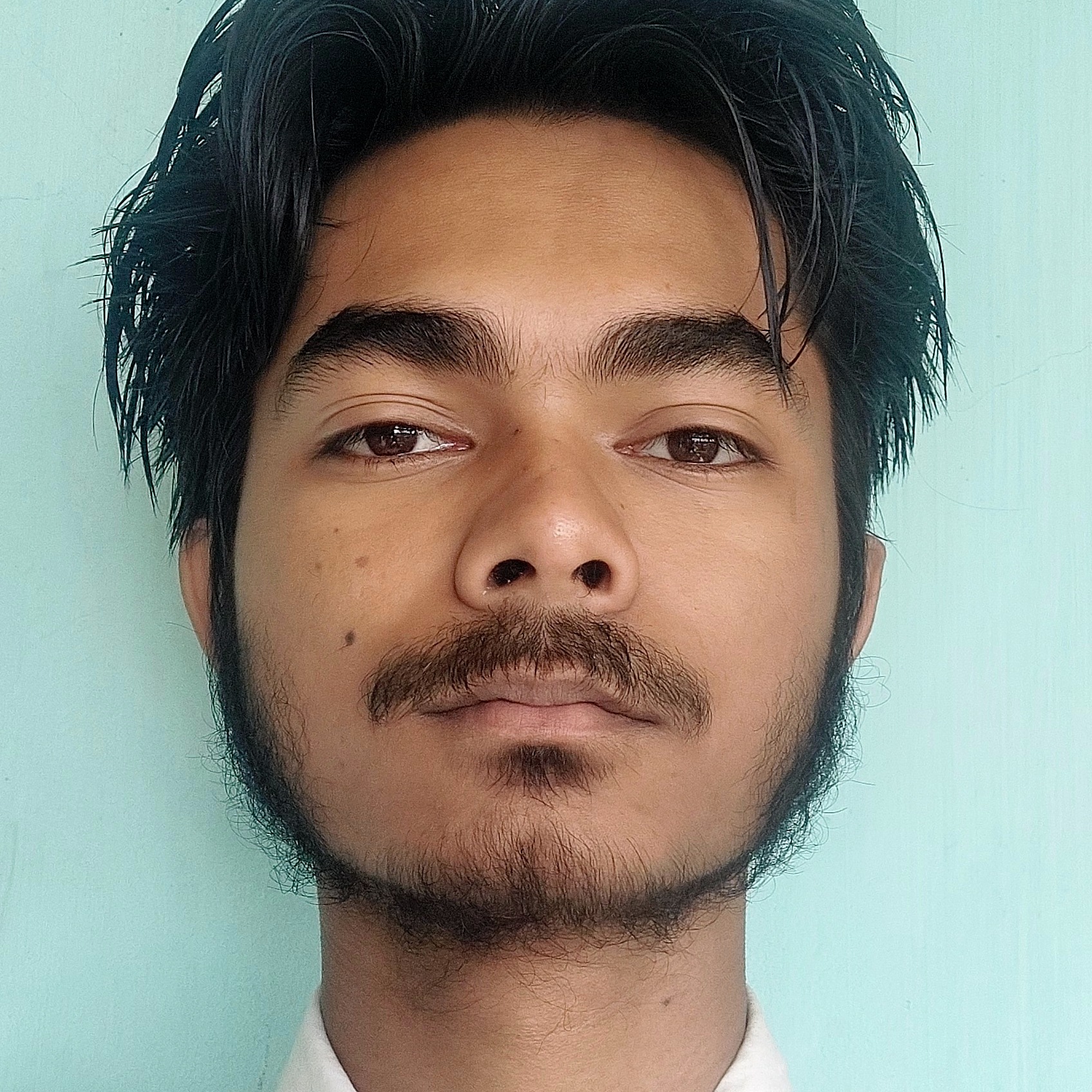 Partha Biswas