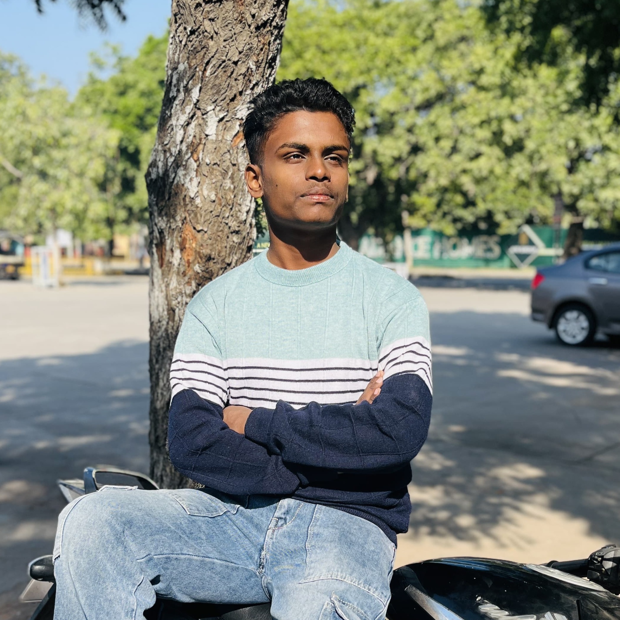 Anil