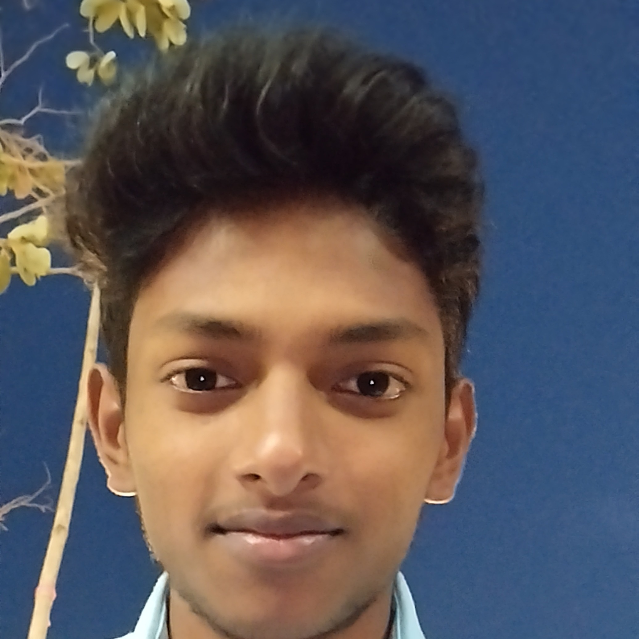MELLIMI NARESH VEERENDHAR