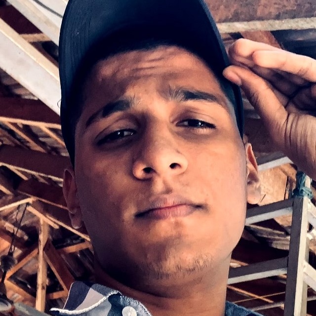 Stephin