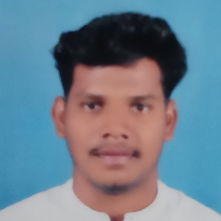 Sai Naveen Burugu