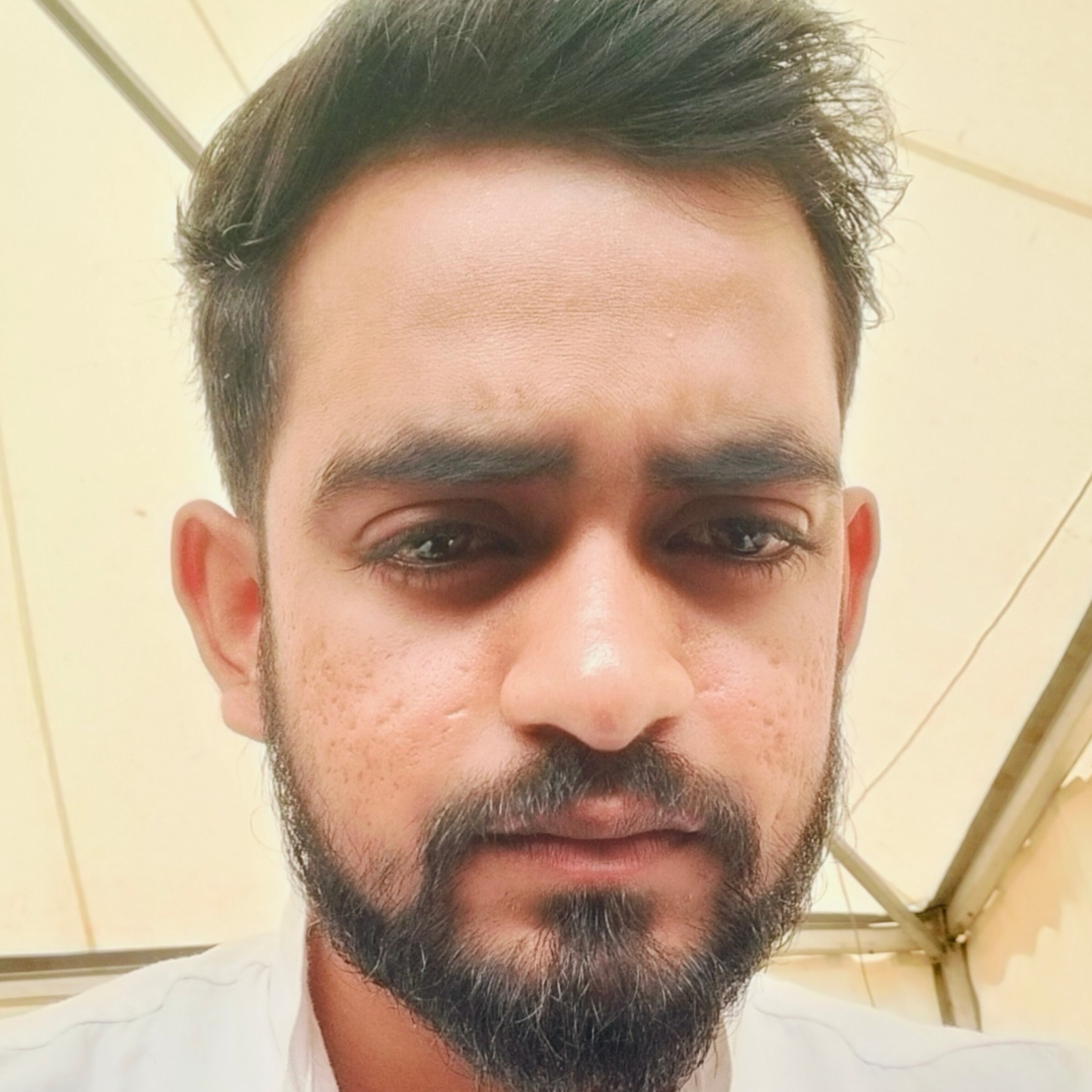 modassir Ghayas