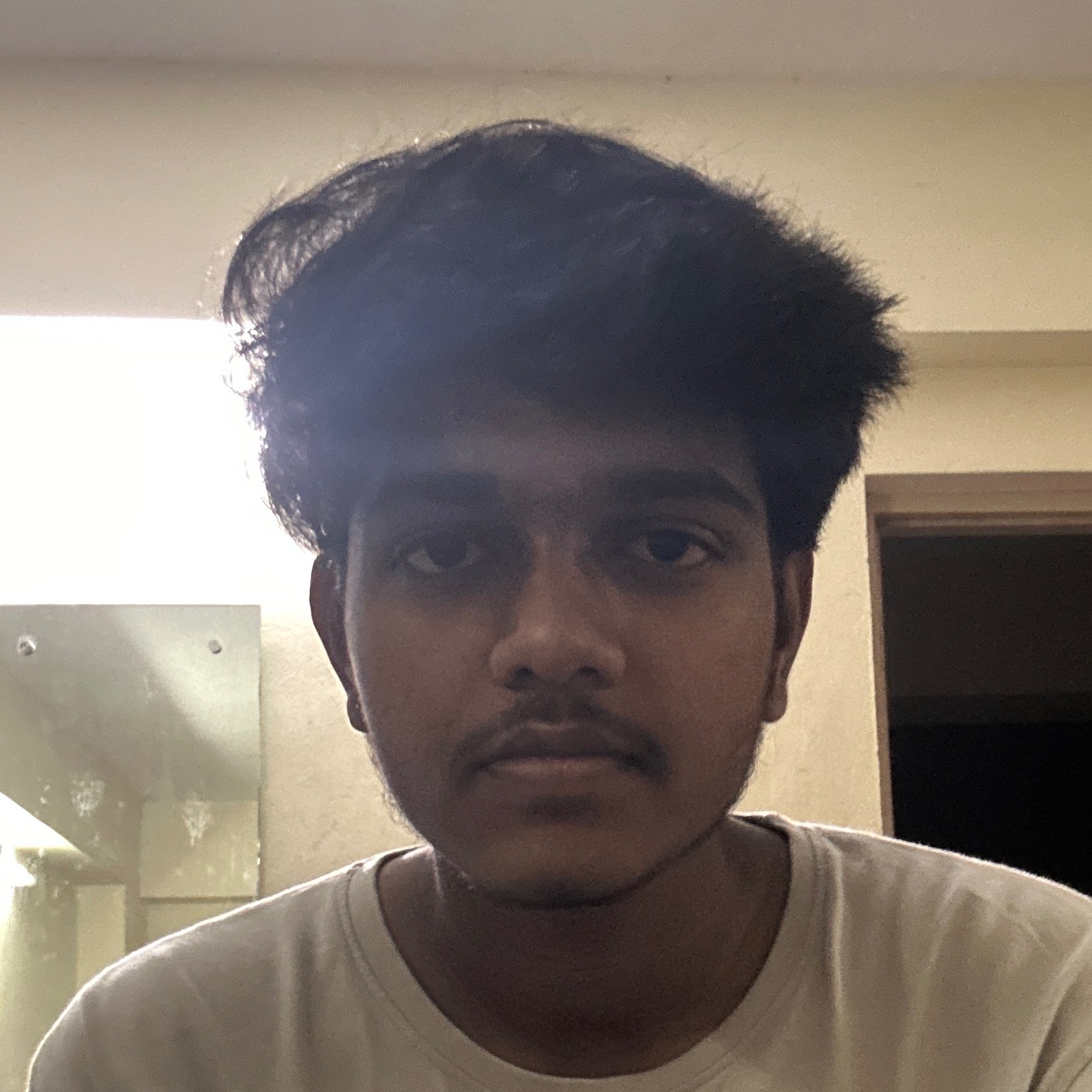 ARITAKULA N S N D BALA VARDHAN