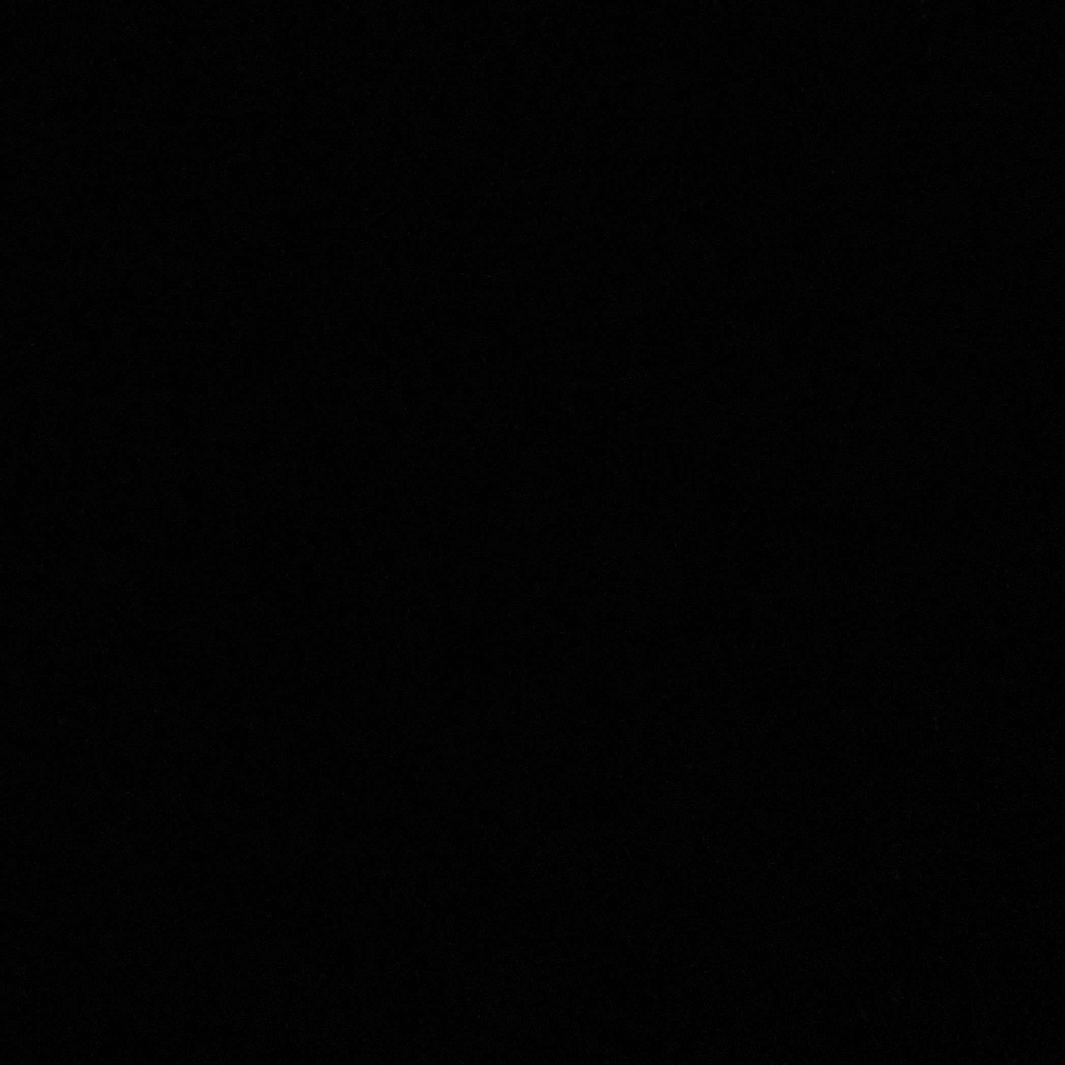 Abhinav M Raju