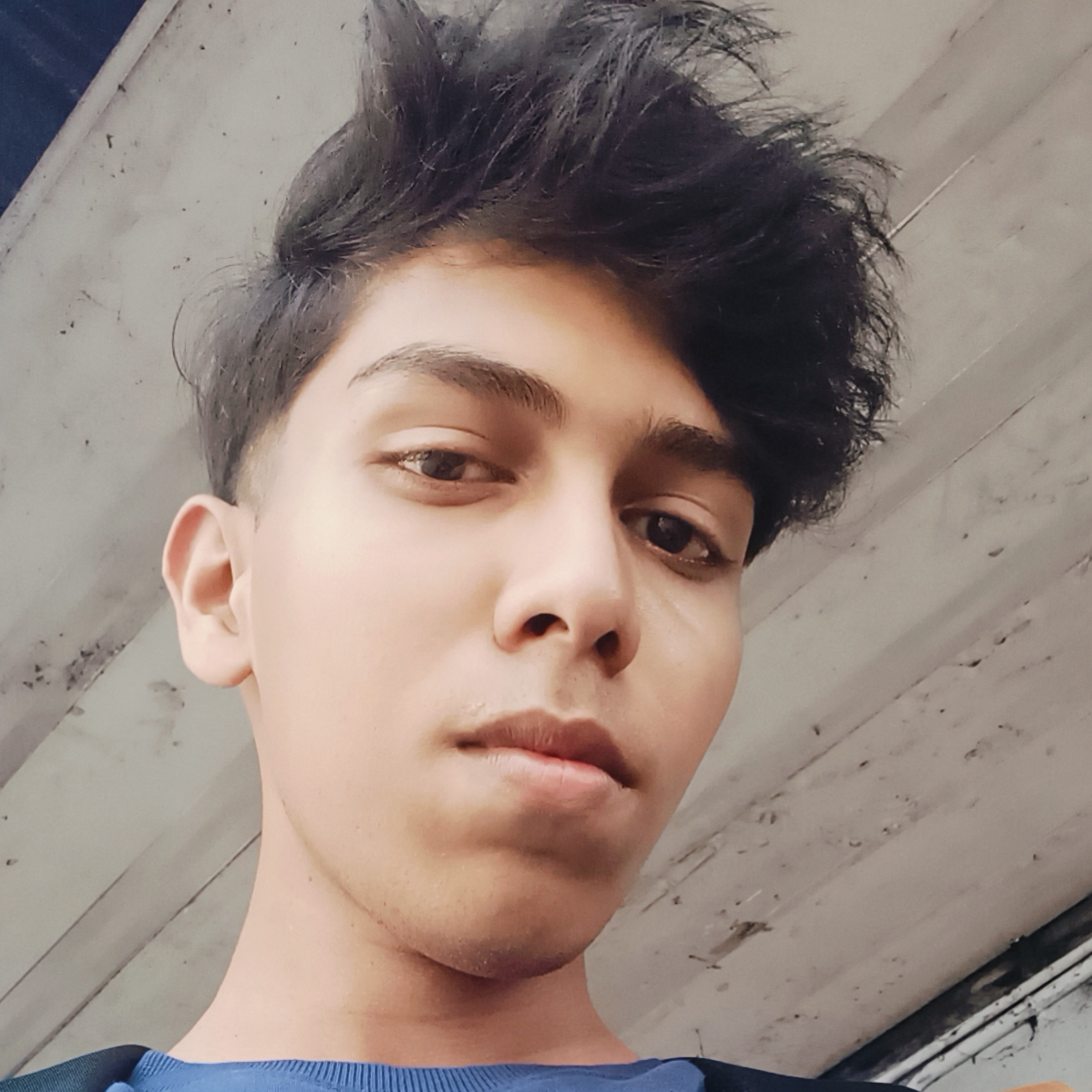 Shived vibil