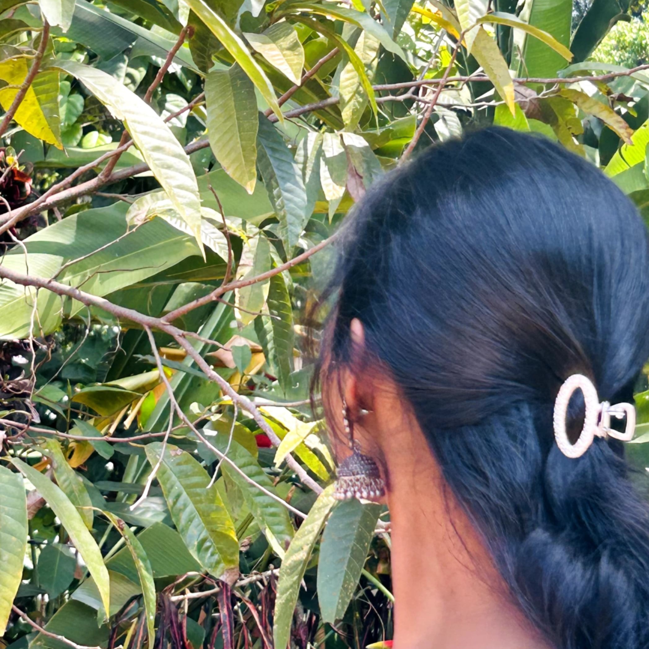 Akshaya B T