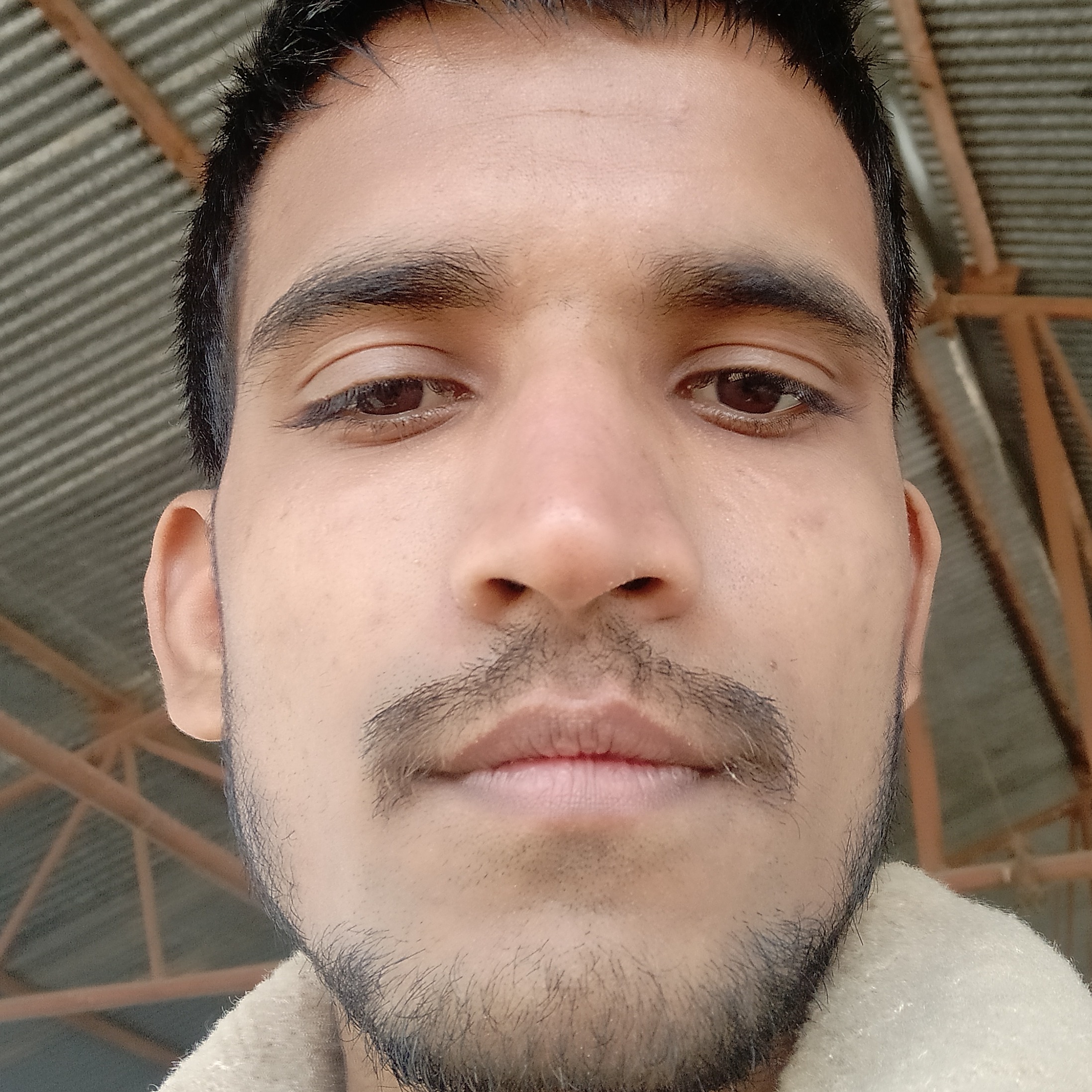 Aman mansury