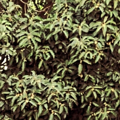 VEMURI MOHANA ARAVIND