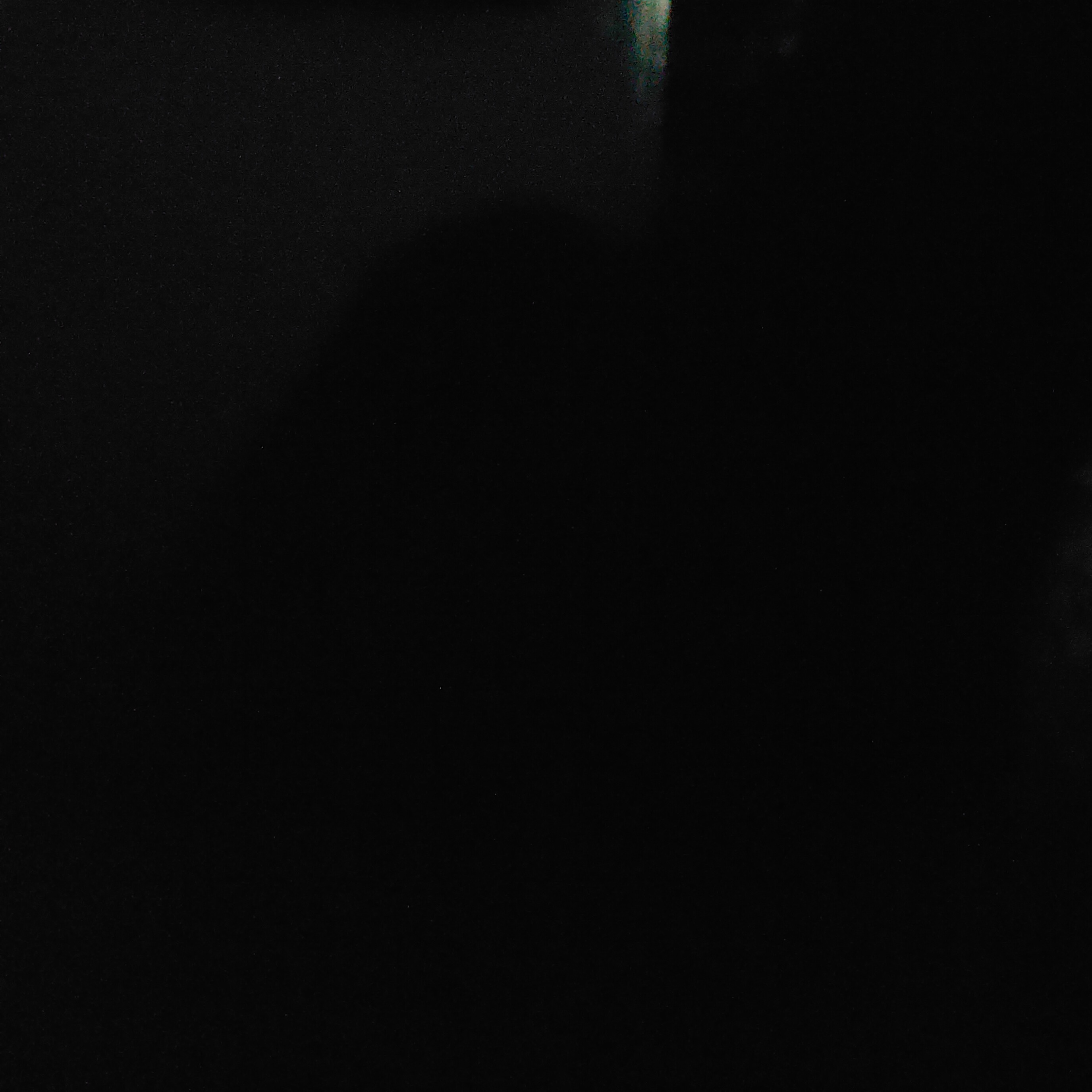 Hiba Tasnim
