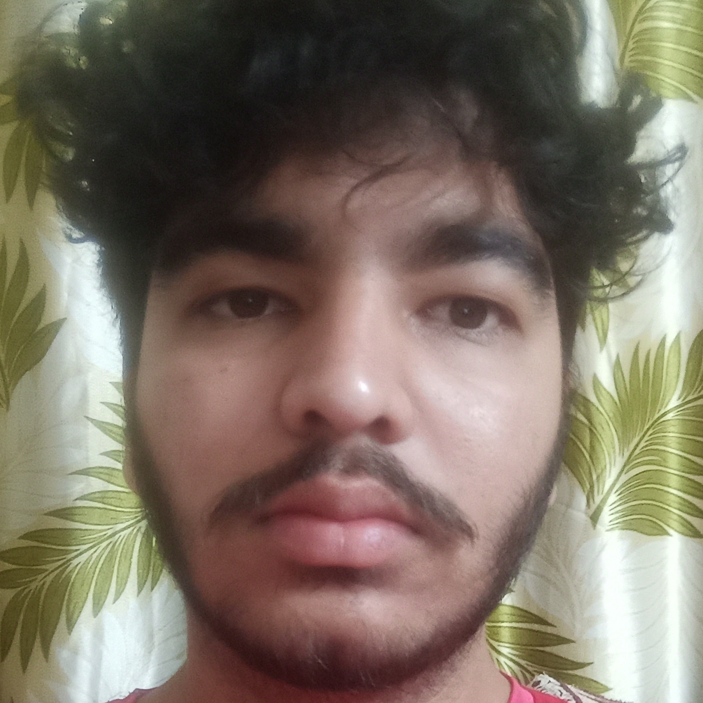 Akhilesh mamgain