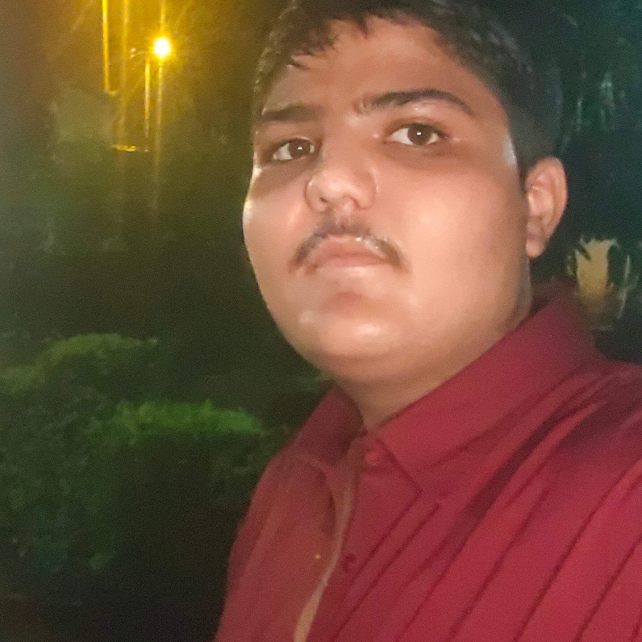 Vaidik