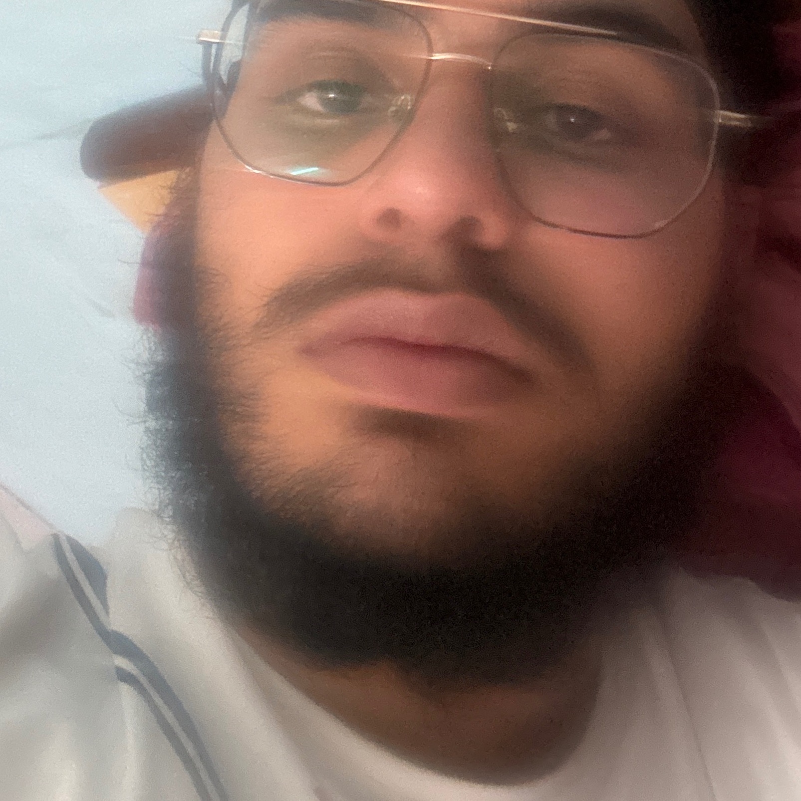 Sehaj Pal