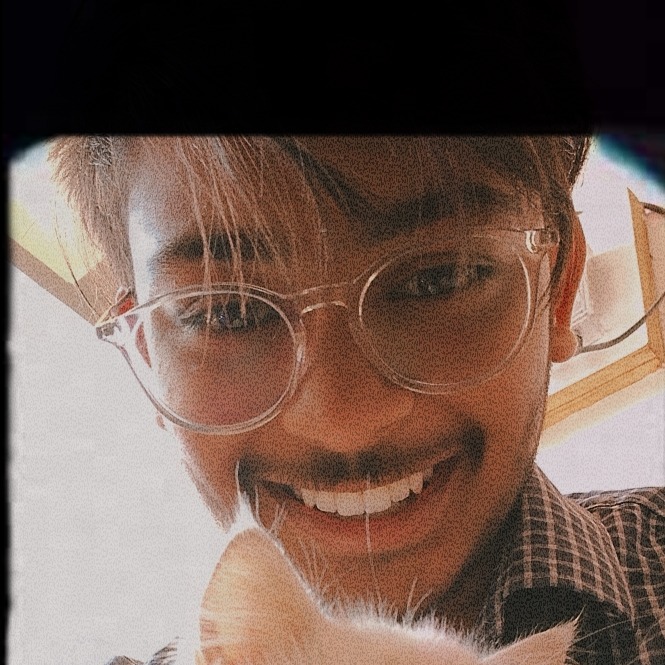 Vighnesh Paleria