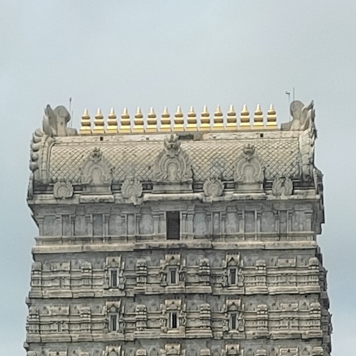 Vishwa Borgave