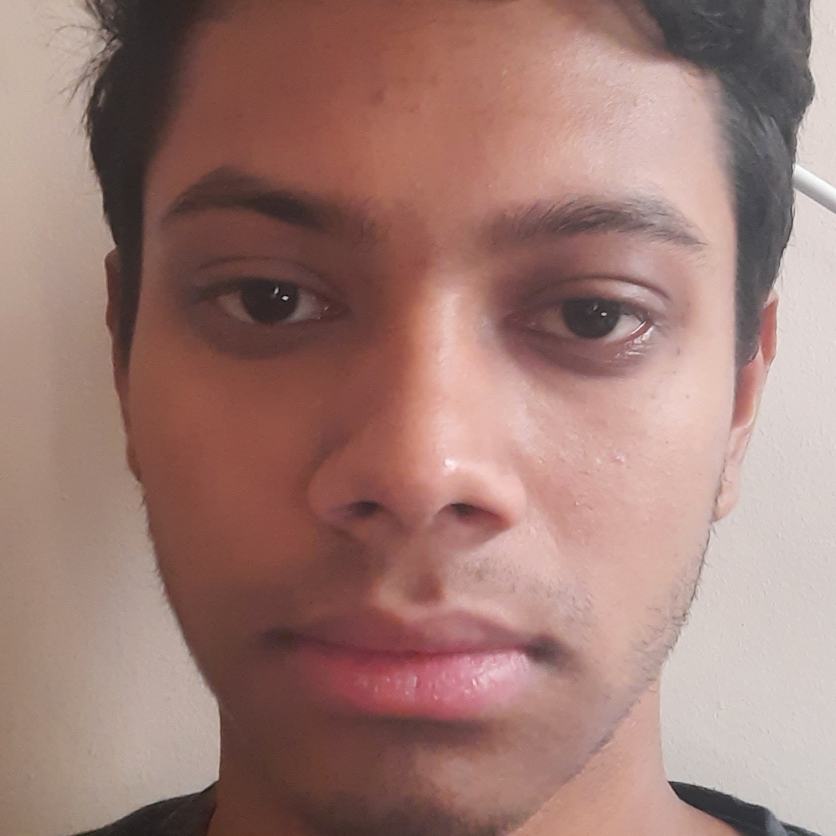 Pallab Majumdar