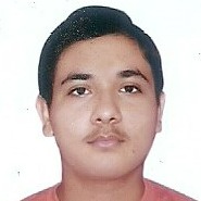 Kartik Goel