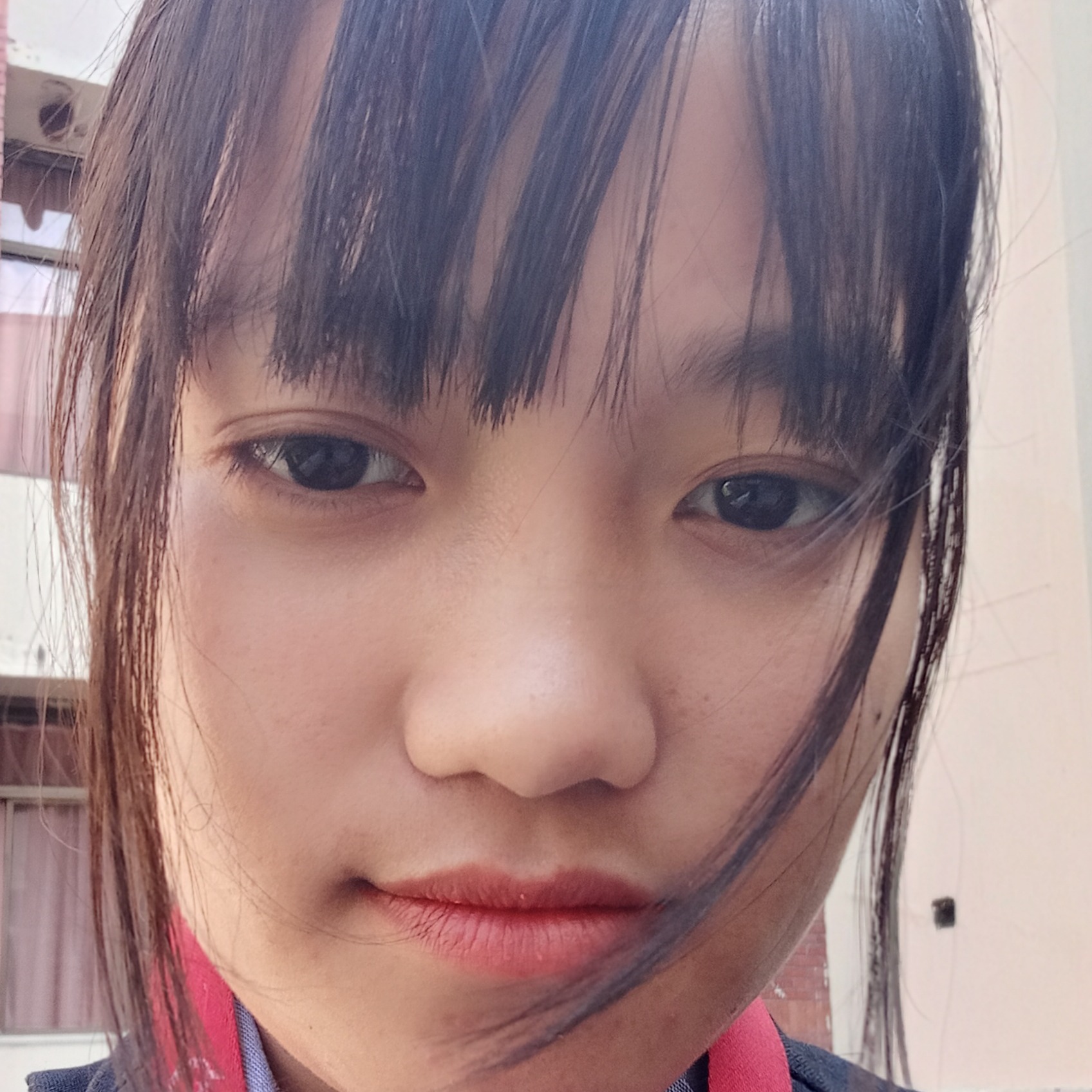 Ha yatak