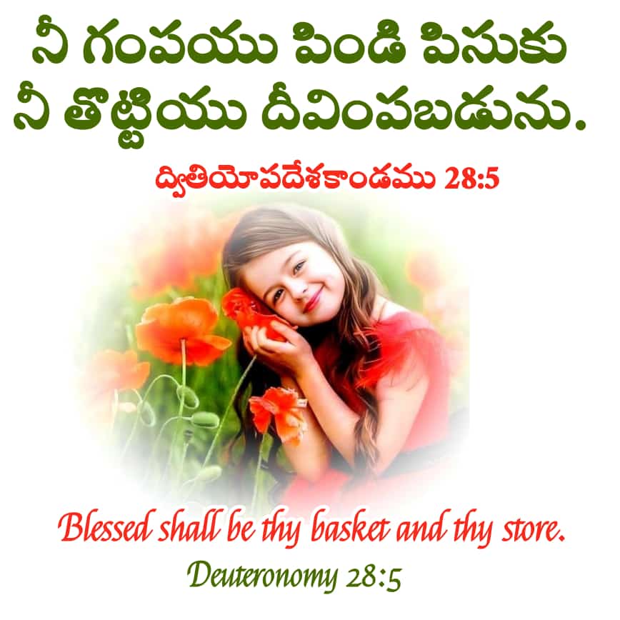 Sharada