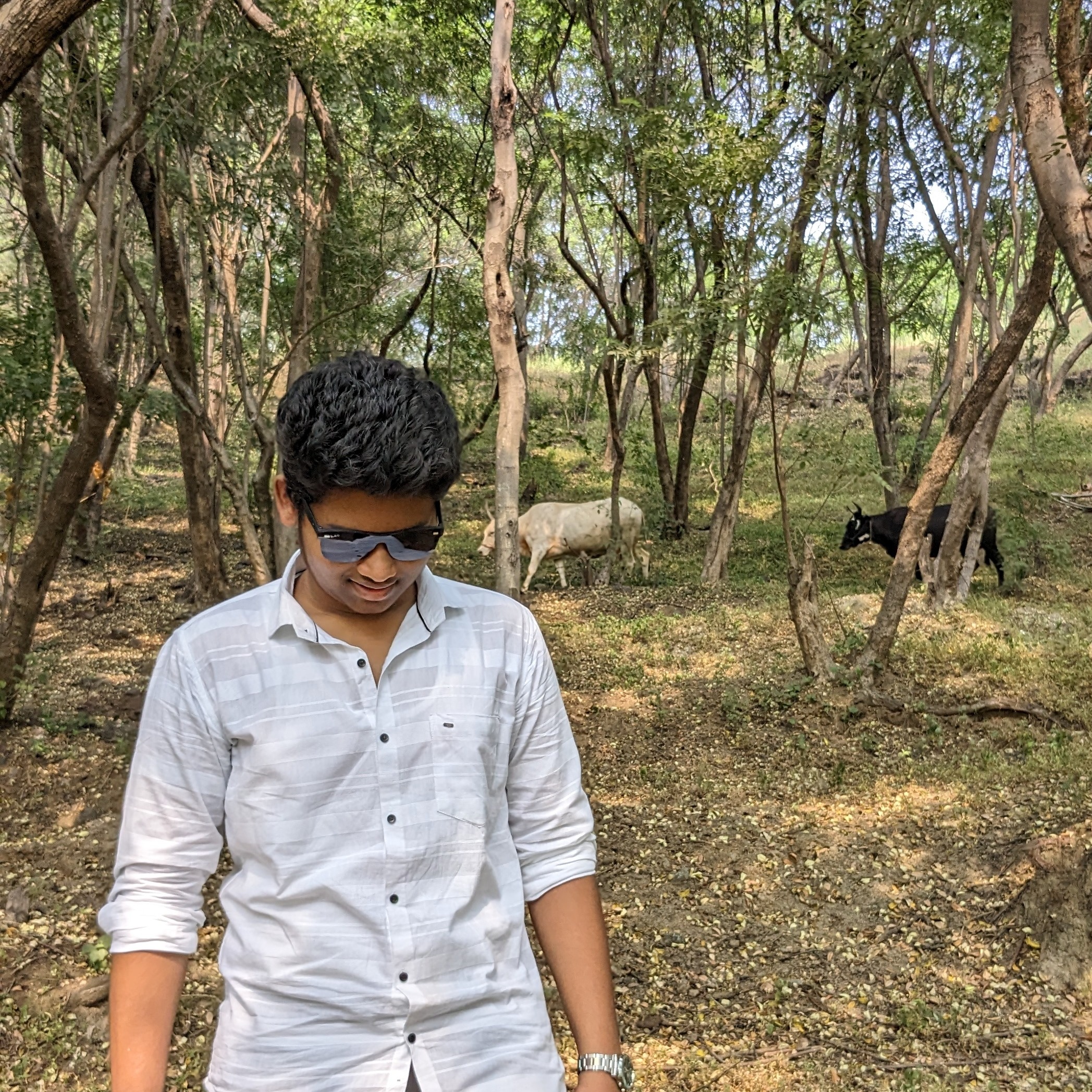 Tushar Rajendra Randhawane