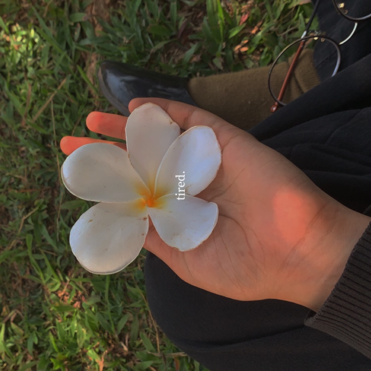 Wafa k