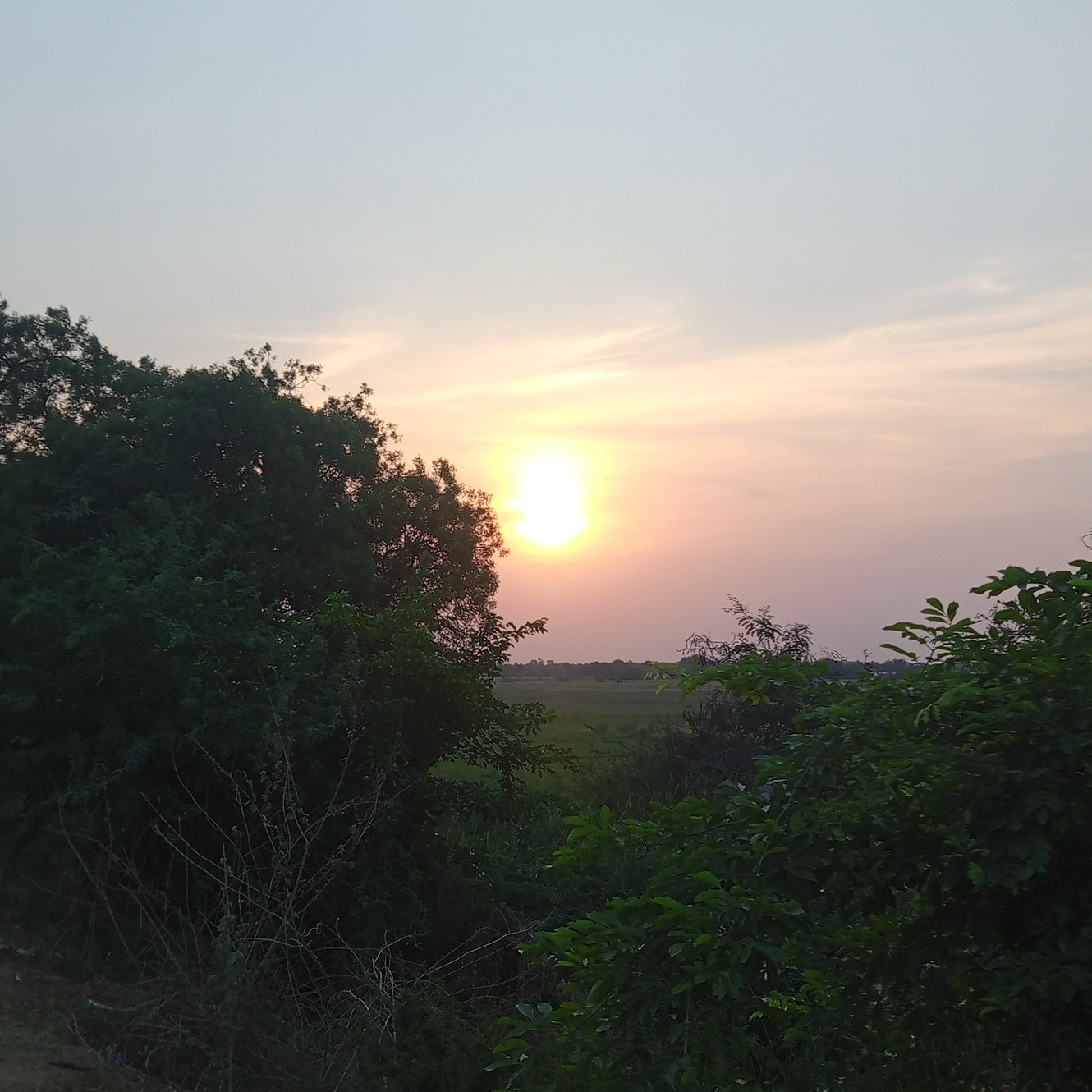 B Sheshidar Reddy