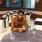 Md shaghill Amaan