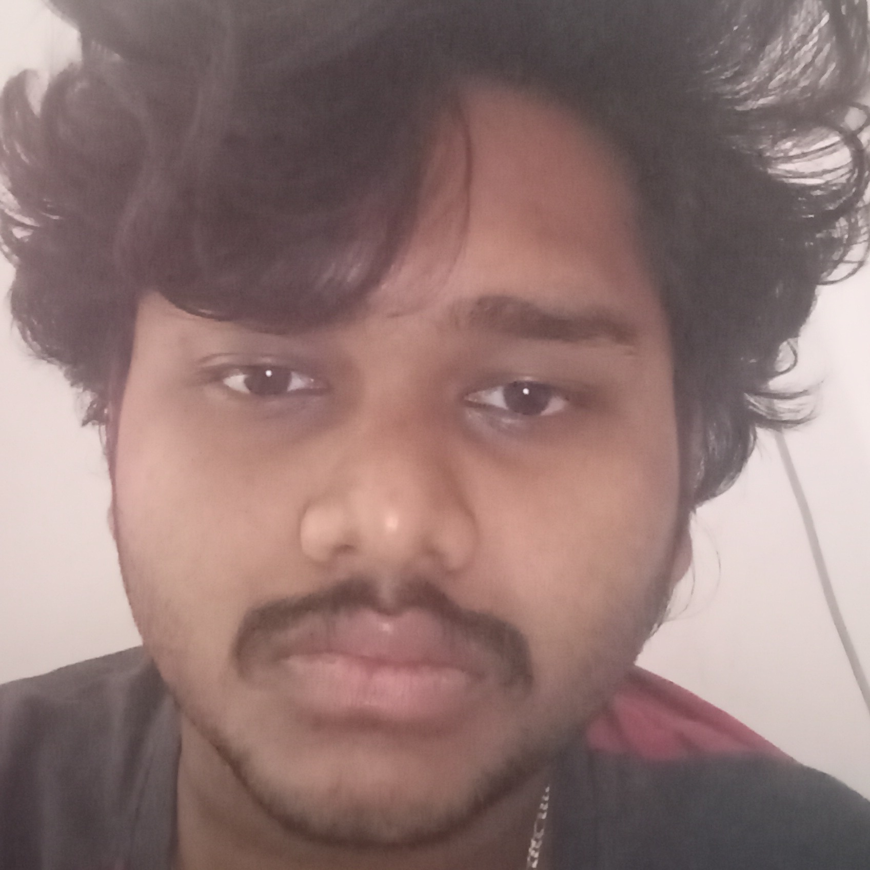 Vishal karnam