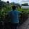 Aravindh