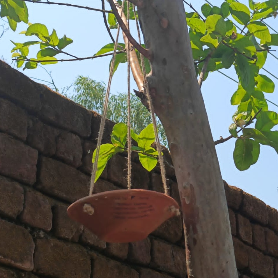 Yashi Maheshwari