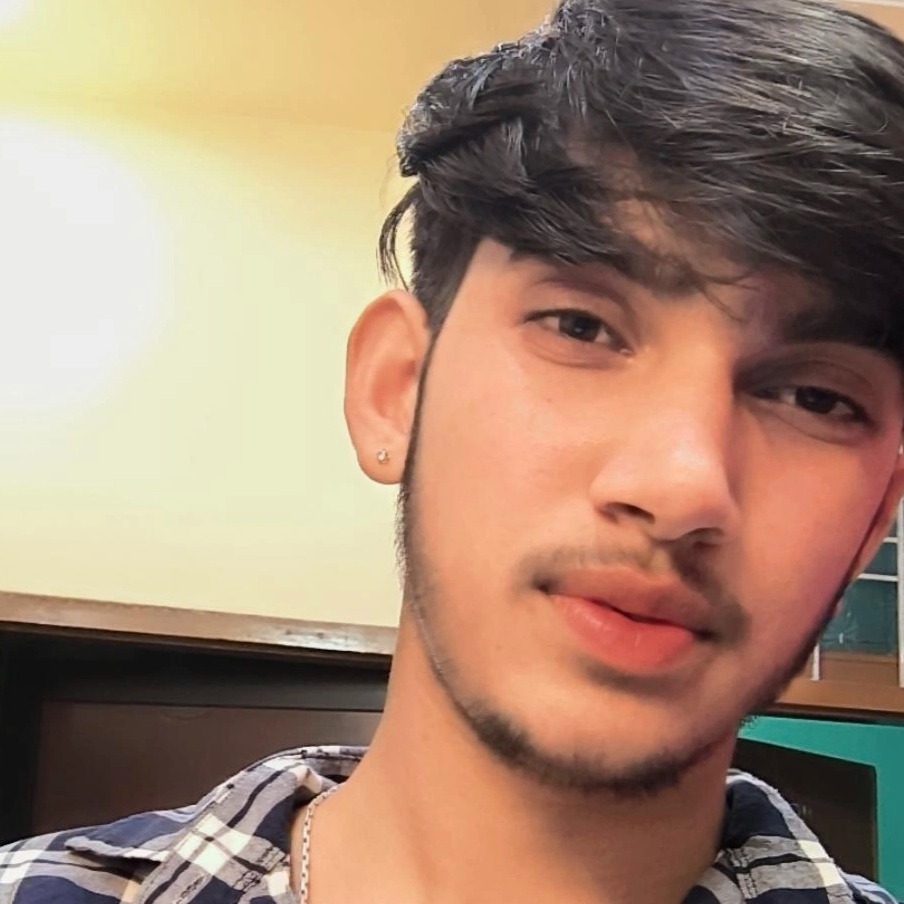 Mayank Kumar narnoliya