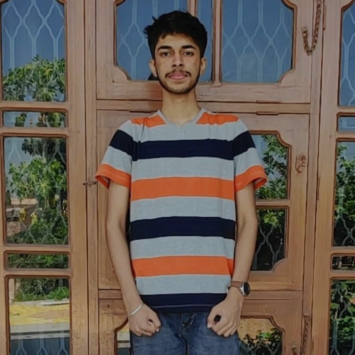 Kartik chaudhary