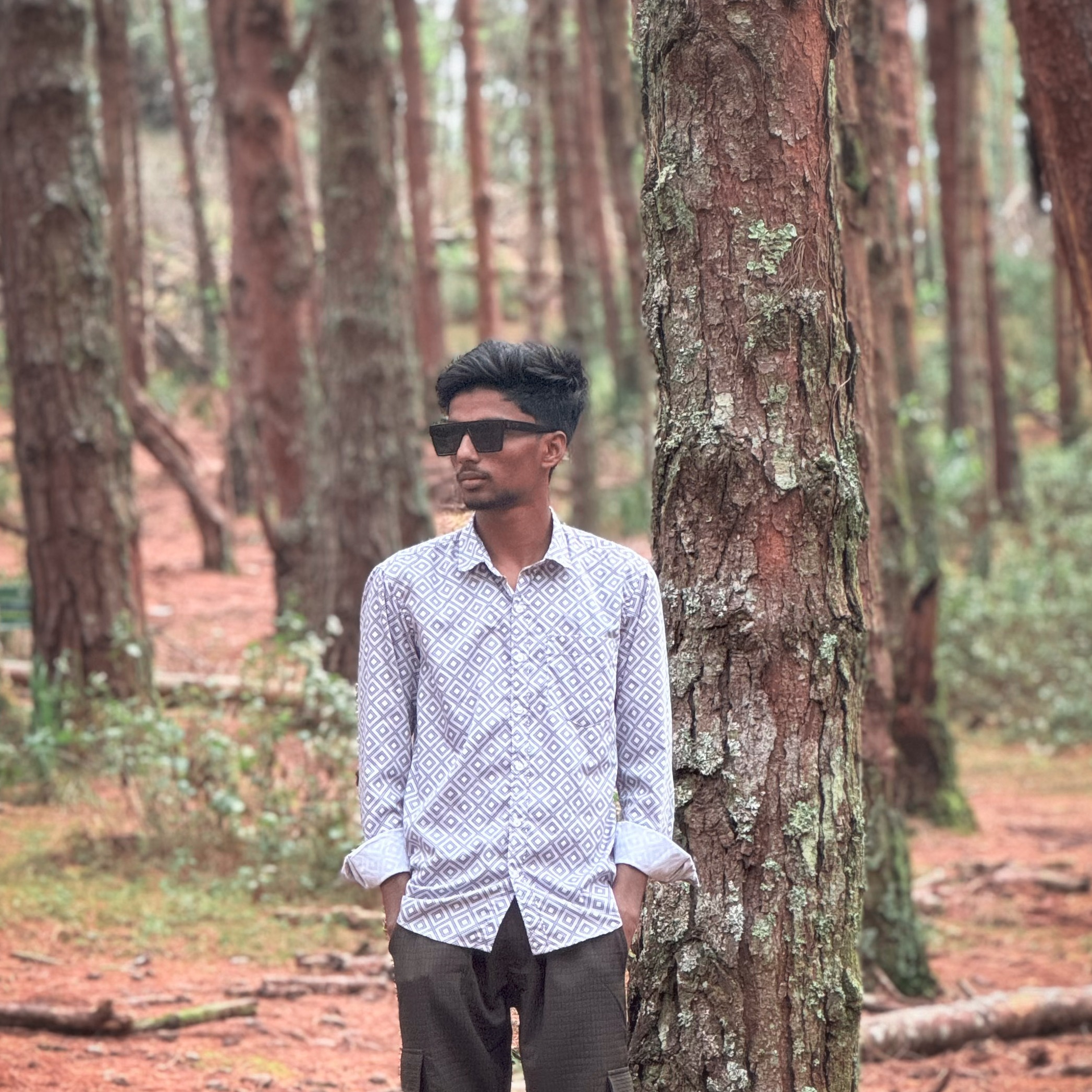 H Hasim Kamal
