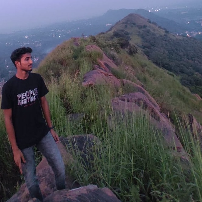 Satyajit Biswal